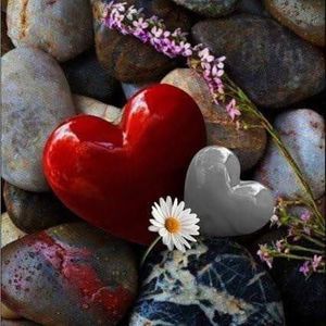 Meet your Posher, Teri